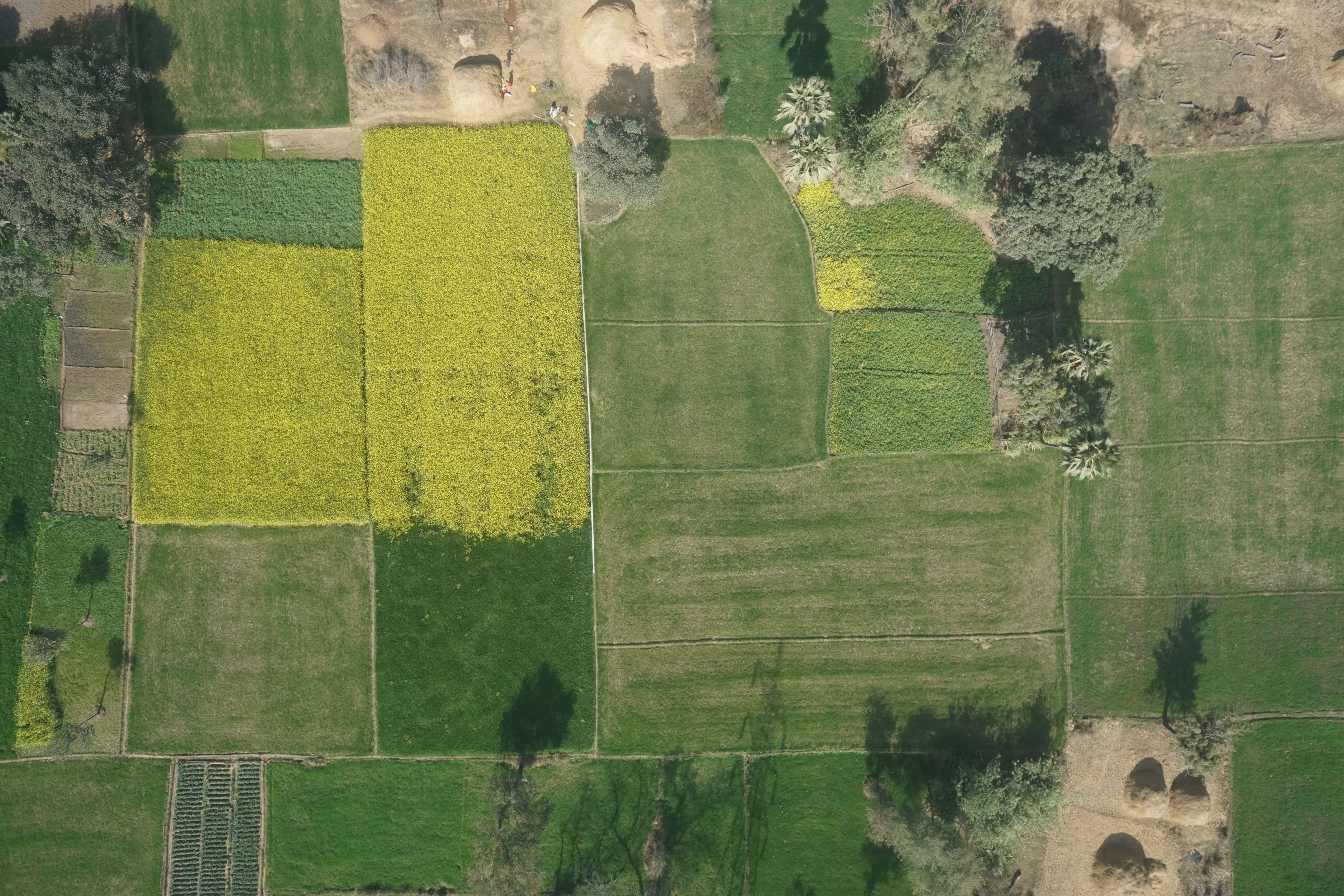 Drone Survey(PPK/RTK UAV / Drone Survey, mapping and inspection)