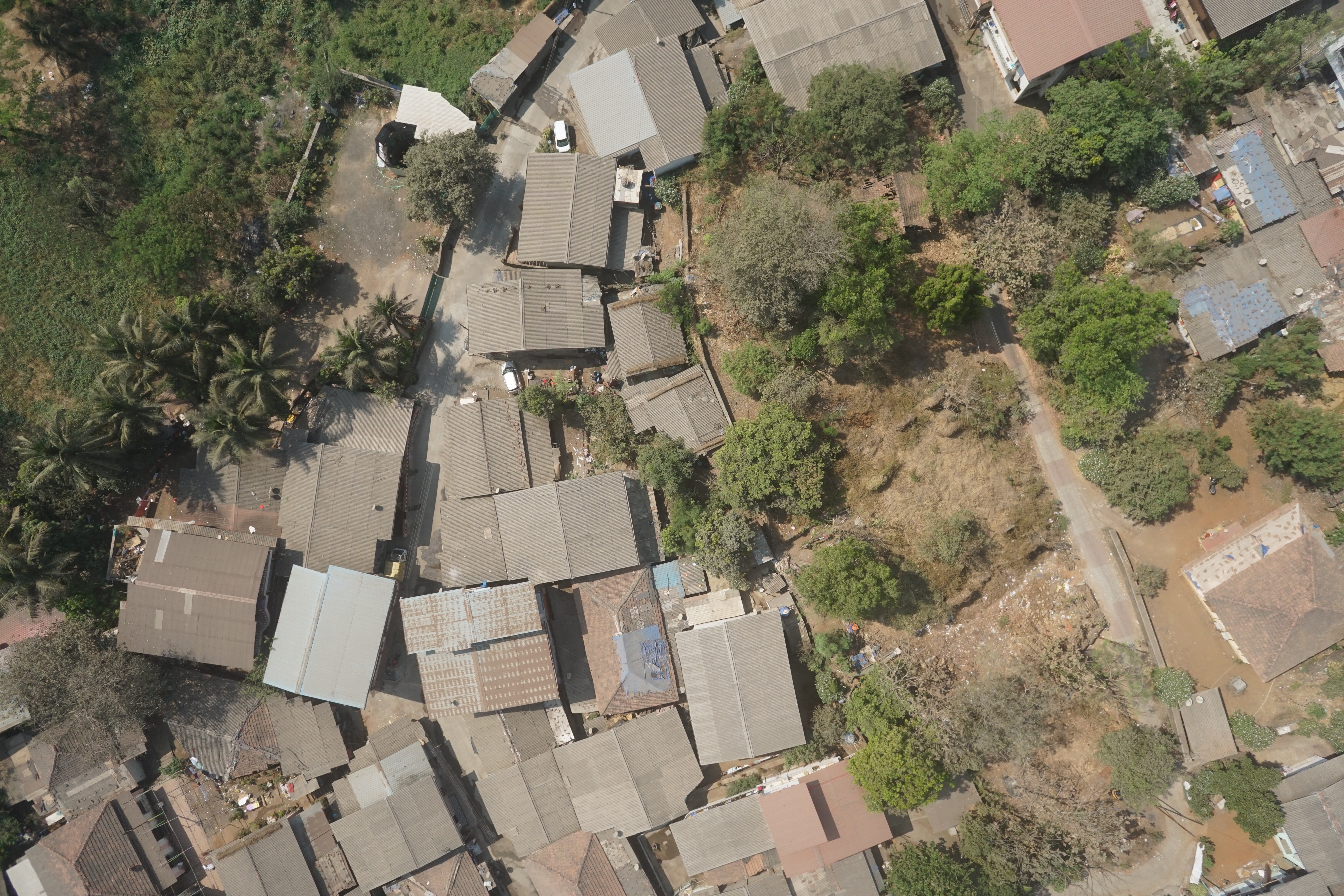 Drone Survey(PPK/RTK UAV / Drone Survey, mapping and inspection)